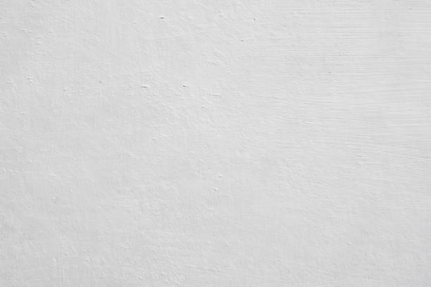 Best Residential Mold Inspection & Testing  in Newtown, PA